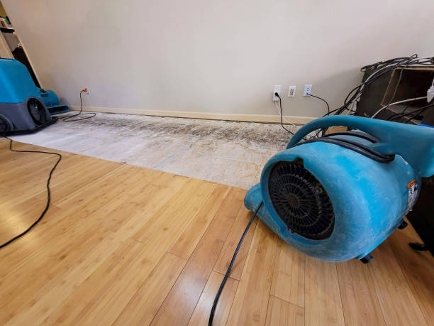 Professional Basement Flood Cleanup technician working in Cortlandt Manor, NY